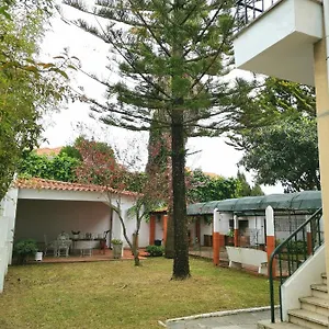 https://botanique-guesthouse.hotels-lisbon-portugal.com